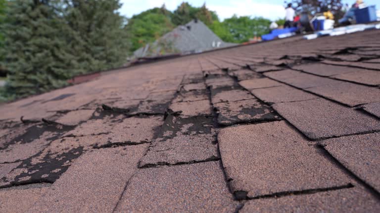 4 Ply Roofing in Griffith, IN